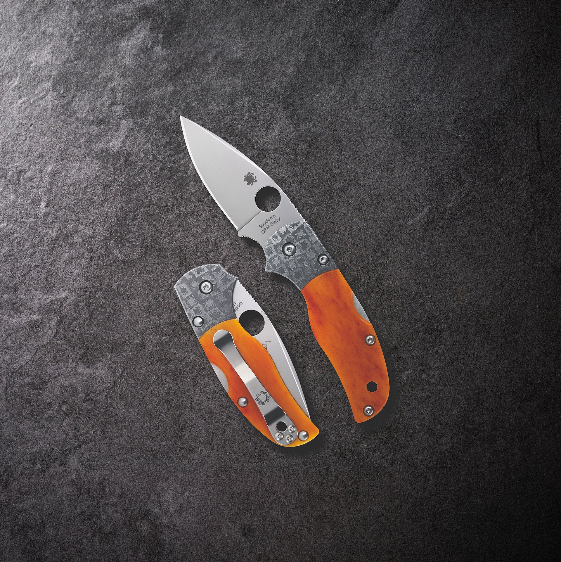 Spyderco Native 5 C41GP5